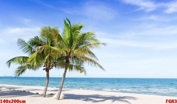 tropical beach in thailand