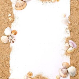 piece of paper and seashells on the sand