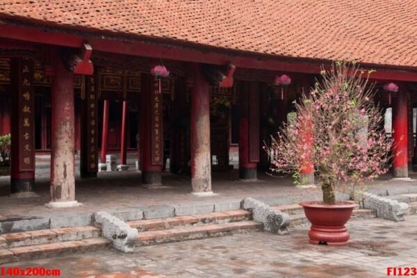 scene from around the temple of literature in hanoi, vietnam