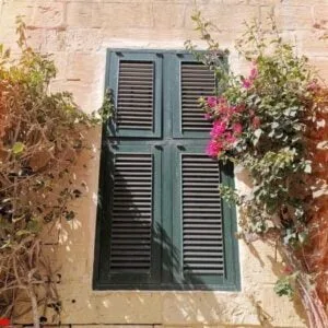 fi29