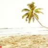 summer tropical island beach concept