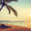 beautiful beach and sea with palm tree