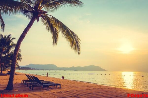 beautiful beach and sea with palm tree