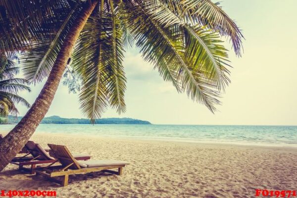 sea and beach