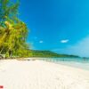 beautiful nature tropical beach and sea with coconut palm tree o