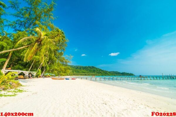 beautiful nature tropical beach and sea with coconut palm tree o