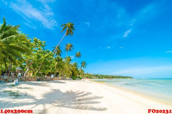 beautiful tropical beach sea and sand with coconut palm tree on