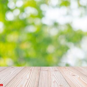 woman hand holding red heart shape on green natural background i