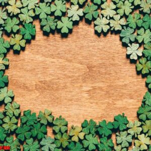 four leaf clovers laying on wooden floor