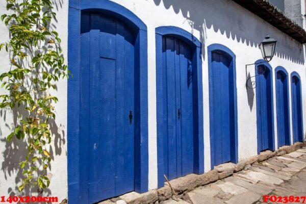 street and old portuguese colonial houses in historic downtown i