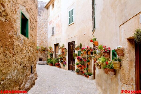 majorca valldemossa typical with flower pots in facade