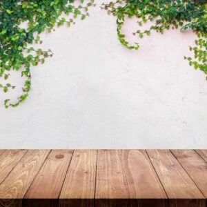 empty wood table with ivy leaves on cement wall background.