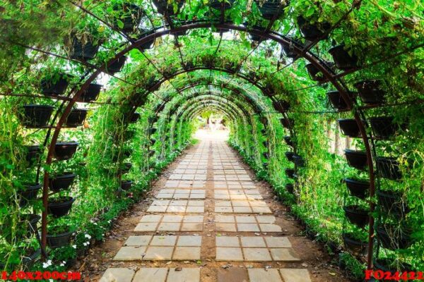 the arch of the greenhouse tomato seedlings in early spring