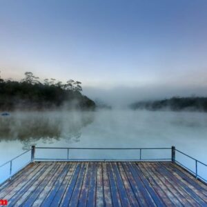 lake and pine forest on morning time at " ban wat chan pine fore