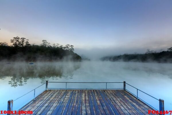 lake and pine forest on morning time at " ban wat chan pine fore