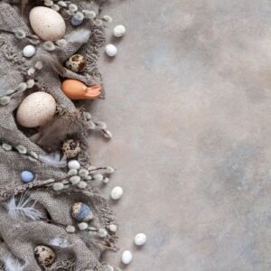 easter decoration – natural eggs and pussy willow. top view, c