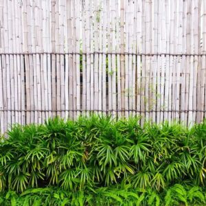 close up of wall made of vintage bamboo fence