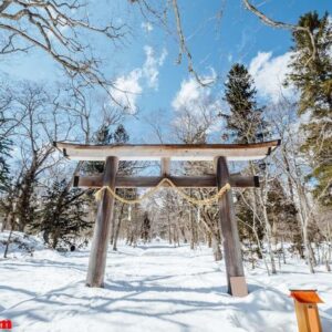 japan torii gate entrance shrine in snow scene, japan