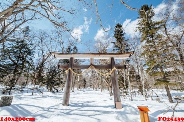 japan torii gate entrance shrine in snow scene, japan