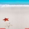 caribbean starfish tropical sand turquoise beach