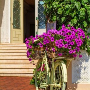 decorative bike with flowers standing in front of the building