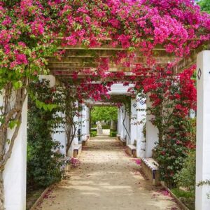 seville maria luisa park gardens spain