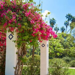 seville maria luisa park gardens spain