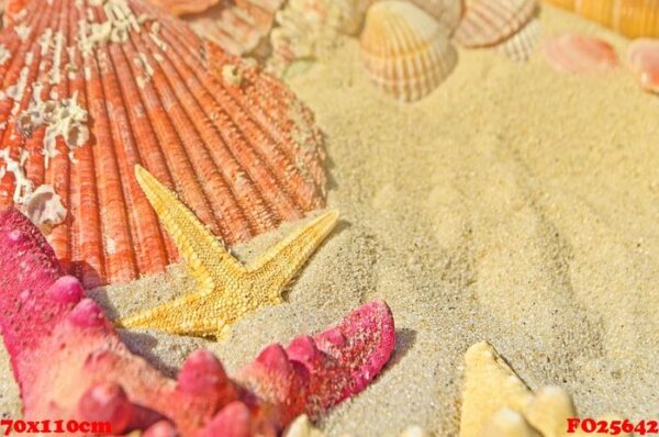 red starfish and seashells