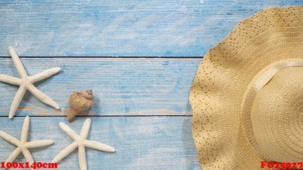 shells, starfish, hats. holiday ideas