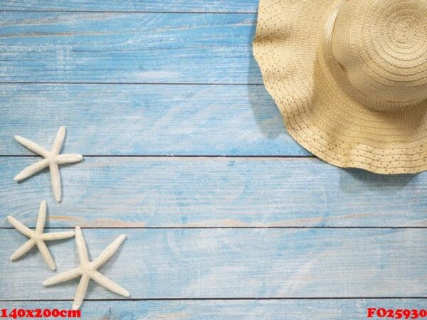 shells, starfish, hats. holiday ideas