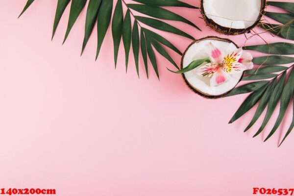 coconut with flower astroemeria around palm leaves on a pink bac