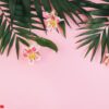 summer concept. flowers astroemeria and palm leaves on a pink ba