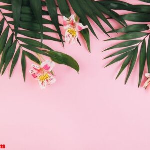 summer concept. flowers astroemeria and palm leaves on a pink ba