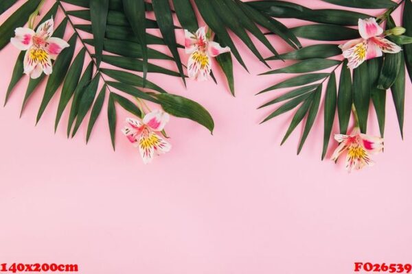 summer concept. flowers astroemeria and palm leaves on a pink ba