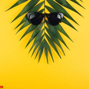 tropical summer palm leaf in sunglasses. flat lay. minimal conce