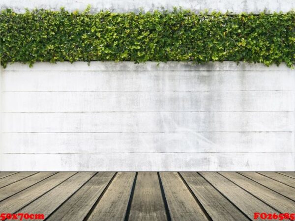 cement wall and green leaf for background