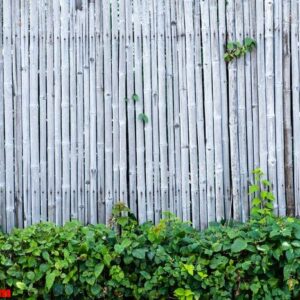 bamboo fence wall background and texture with green plant decora