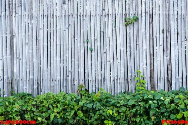 bamboo fence wall background and texture with green plant decora