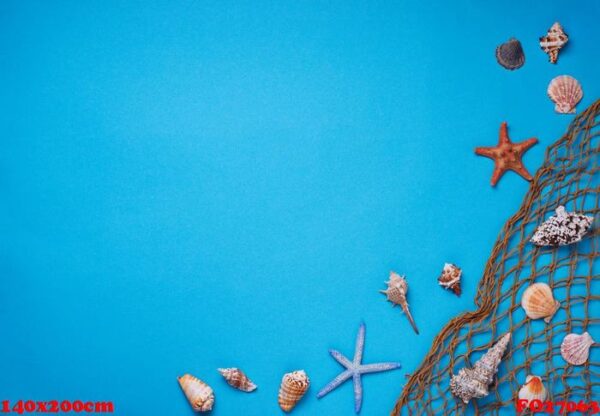 different seashells and fishnet on blue background