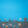 different seashells and fishnet on blue background