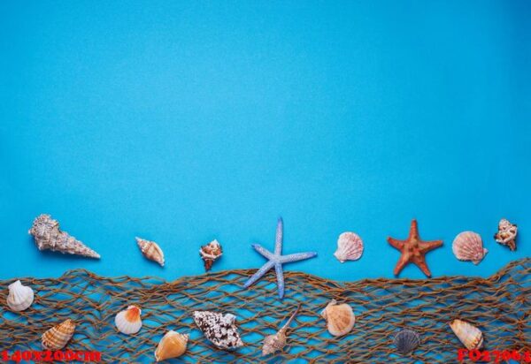 different seashells and fishnet on blue background