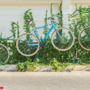 bicycle decoration on wall