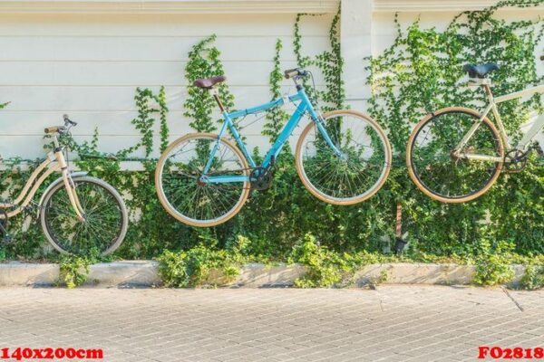 bicycle decoration on wall