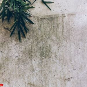 detail shot of stone wall in an old traditional village