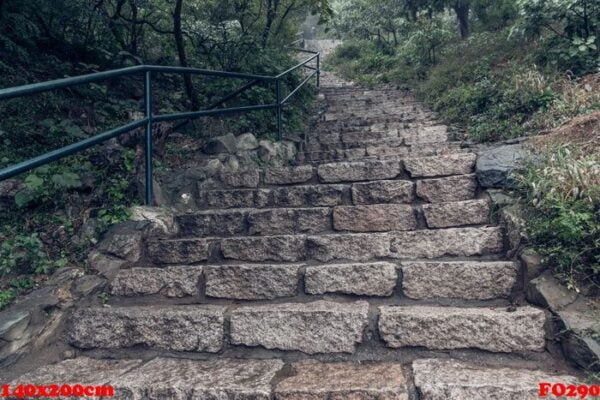 rough stone steps leading to a small village