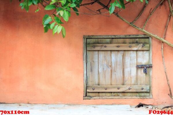 an old wooden door with cement wall and ivy.