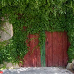 rustic wooden door