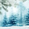 winter background