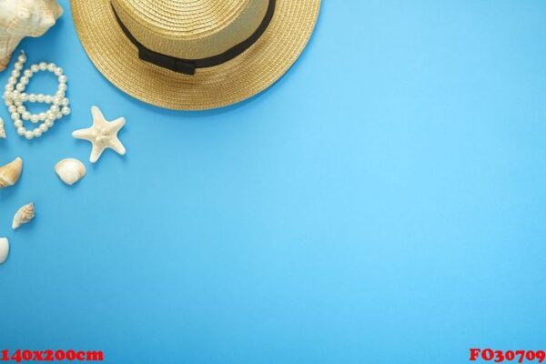 summer holiday accessories branch blue background