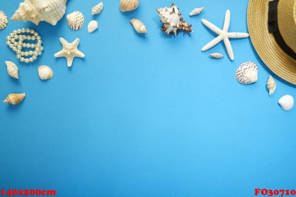 summer holiday accessories branch blue background